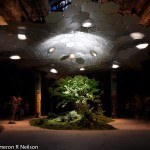 The Lowline in NYC