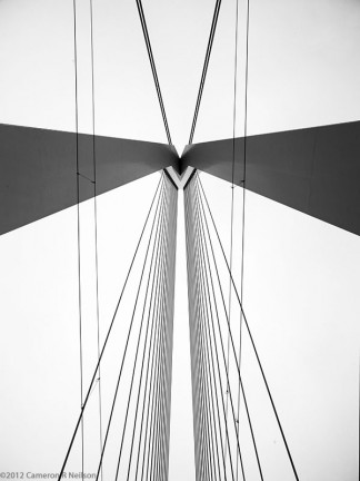 Erasmus Bridge in Rotterdam, Netherlands